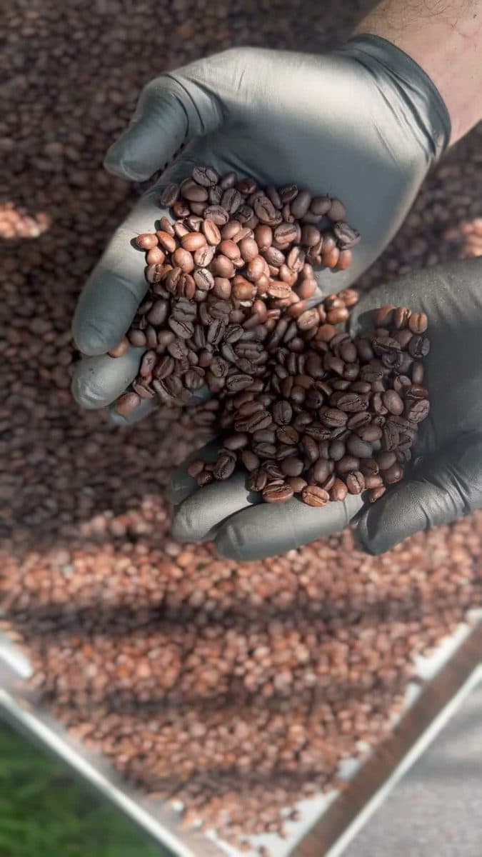 Fresh roasted Fire Bean coffee beans